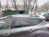 IMG_20170408_163155.jpg