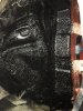 IMG-20170410-WA0006.jpg