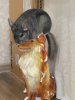 IMG_2019-07-04_224631.jpg