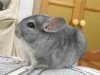 IMG_2019-02-04_223351.jpg