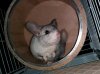 IMG_20180402_203607-1.jpg