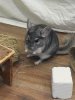 IMG_2019-10-01_205544.jpg