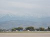 IMG_20191017_161043.jpg