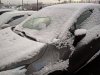 IMG_20191029_090154.jpg