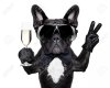 27913289-french-bulldog-with-a-champagne-glass-and-victory-or-peace-fingers.jpg