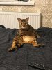 IMG-20190416-WA0000.jpg | Рено Каптур Клуб Россия | Форум KAPTUR.SU