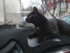 IMG_20200313_153156.jpg