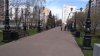 IMG_20200426_105234.jpg