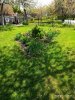 P00523-103552.jpg | Рено Каптур Клуб Россия | Форум KAPTUR.SU