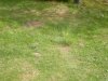 IMG_20200527_145541.jpg