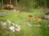 IMG_20200527_145607.jpg | Рено Каптур Клуб Россия | Форум KAPTUR.SU
