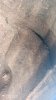 IMG_20200806_131217.jpg