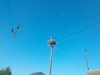 IMG_20200806_082233_1.jpg