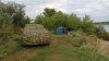 IMG_20200830_060832.jpg