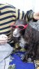 20200613_193421.jpg
