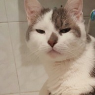 Rometto
