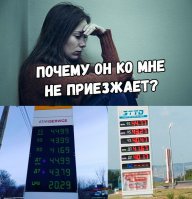 alex88