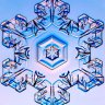 Ascold