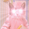 zzr
