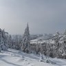 Трудовик