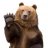 Dr.Bear