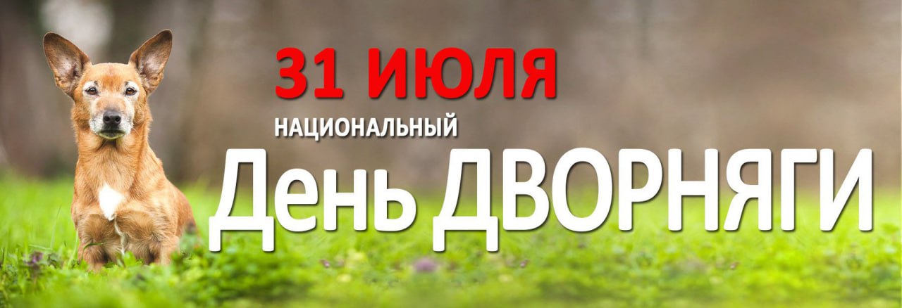 proxy.php?image=https%3A%2F%2Fstatic22.tgcnt.ru%2Fposts%2F_0%2F05%2F052c216b3c47ccd6f0730b40ebccc573.jpg&hash=021b2d5b58751201b9ad081b347dbae3 | Рено Каптур клуб Россия | www.KAPTUR.club
