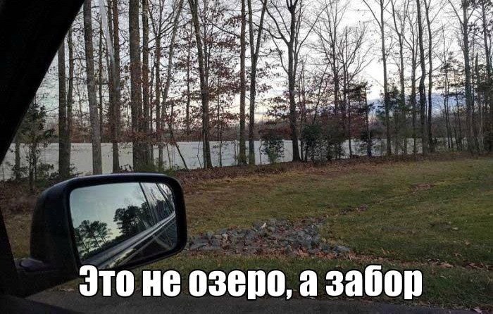 proxy.php?image=http%3A%2F%2Fdobrosos.ru%2Fwp-content%2Fuploads%2F2019%2F11%2Finteresnye-foto-prikoly-23.jpg&hash=02828b76eb83564a144f835934b67fd9 | Рено Каптур клуб Россия | www.KAPTUR.club