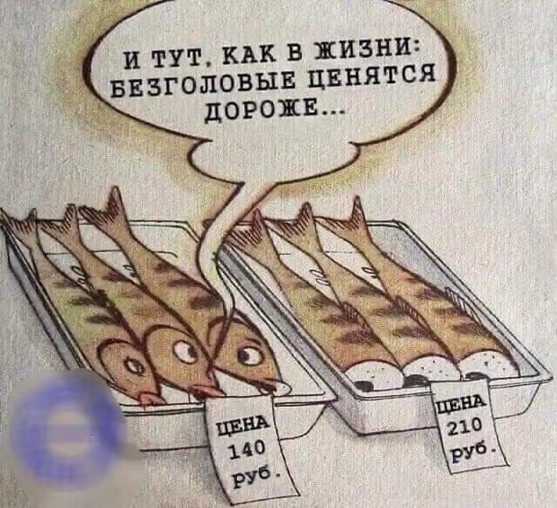 proxy.php?image=https%3A%2F%2Fi.ibb.co%2FtzMsvdR%2FIMG-20230503-WA0027.jpg&hash=0292a451823704e7305c0a0684a1e72a | Рено Каптур клуб Россия | www.KAPTUR.club