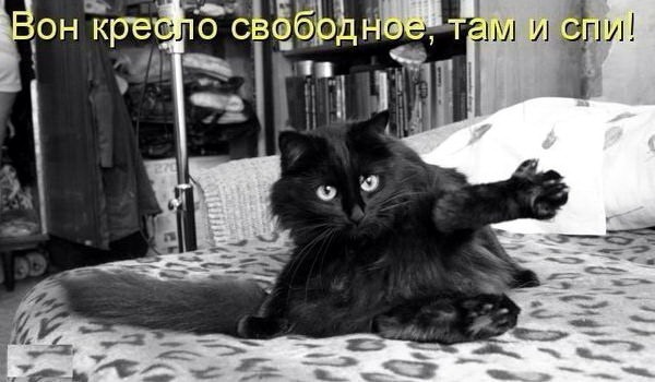 proxy.php?image=http%3A%2F%2Fdobrosos.ru%2Fwp-content%2Fuploads%2F2019%2F04%2Fsmeshnye-nadpisi-prikoly-nadpisyami-foto-001.jpg&hash=02a0e79aa8d78dd07075351c59dfe821 | Рено Каптур клуб Россия | www.KAPTUR.club
