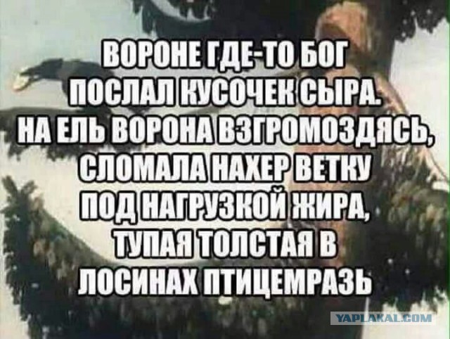 proxy.php?image=http%3A%2F%2Fs00.yaplakal.com%2Fpics%2Fpics_preview%2F7%2F4%2F6%2F12227647.jpg&hash=0404d8715c003b5b009ed0661f61ea9c | Рено Каптур клуб Россия | www.KAPTUR.club