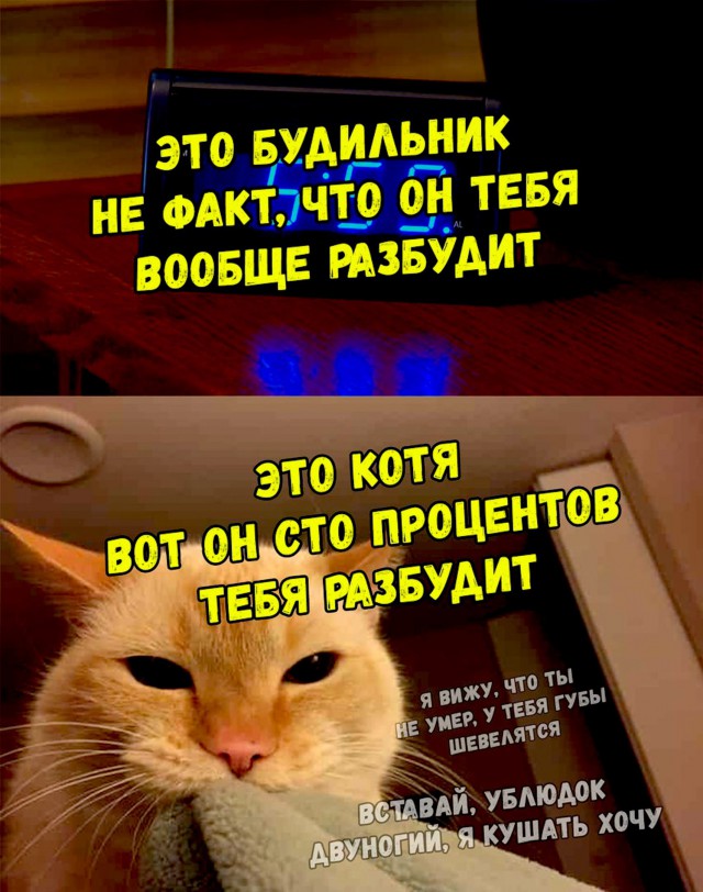 proxy.php?image=http%3A%2F%2Fs00.yaplakal.com%2Fpics%2Fpics_preview%2F4%2F2%2F9%2F11434924.jpg&hash=051125a55494cd6901bf2b9ffceca249 | Рено Каптур клуб Россия | www.KAPTUR.club