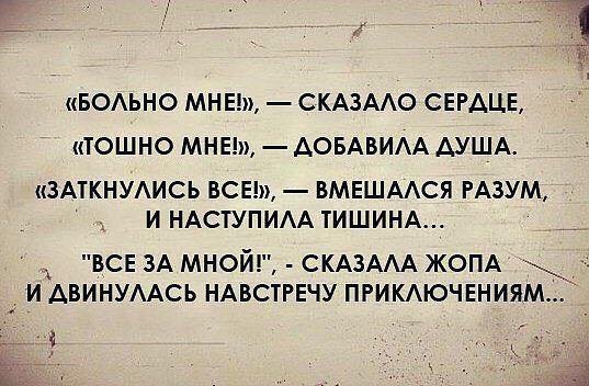 proxy.php?image=http%3A%2F%2Fos1.i.ua%2F3%2F1%2F13567711_290dea2e.jpg&hash=05ea6c0bd6a0ddef6cf17d48babd3ee5 | Рено Каптур клуб Россия | www.KAPTUR.club
