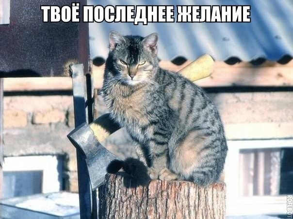 proxy.php?image=https%3A%2F%2Fs00.yaplakal.com%2Fpics%2Fpics_original%2F7%2F7%2F2%2F14099277.jpg&hash=078fcdbaecbd434cc5a151055f237510 | Рено Каптур клуб Россия | www.KAPTUR.club