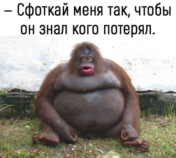 proxy.php?image=http%3A%2F%2Fs00.yaplakal.com%2Fpics%2Fpics_original%2F0%2F9%2F8%2F12227890.jpg&hash=08a6c649e7e2e66d9c6a636fcc6fd98a | Рено Каптур клуб Россия | www.KAPTUR.club