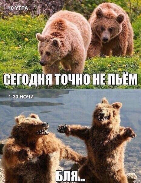 proxy.php?image=http%3A%2F%2Fs00.yaplakal.com%2Fpics%2Fpics_original%2F6%2F5%2F0%2F11436056.jpg&hash=08c56ef6f39ce7bd012f7809e0bbe8eb | Рено Каптур клуб Россия | www.KAPTUR.club