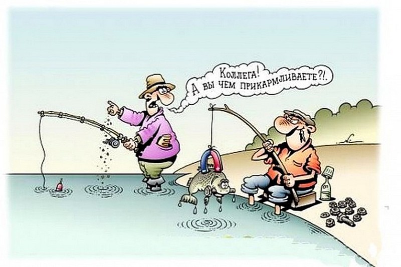 proxy.php?image=https%3A%2F%2Fcdn.fishki.net%2Fupload%2Fpost%2F2017%2F09%2F10%2F2377551%2Ftn%2F29.jpg&hash=09904894d0c50d89ed1d3b32e0d9cd62 | Рено Каптур клуб Россия | www.KAPTUR.club