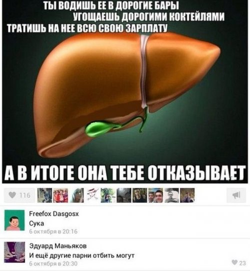 proxy.php?image=https%3A%2F%2Fbugaga.ru%2Fuploads%2Fposts%2F2014-10%2Fthumbs%2F1414660541_prikoly-8.jpg&hash=0a27b880f209d3781ced9f32b3cc71da | Рено Каптур клуб Россия | www.KAPTUR.club