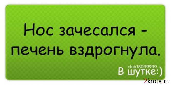 proxy.php?image=http%3A%2F%2F2krota.ru%2Fuploads%2Fposts%2F2012-02%2F1329468022_anekdot-0001.jpg&hash=0b597e1171f42b2c455887e78e4dd1c5 | Рено Каптур клуб Россия | www.KAPTUR.club