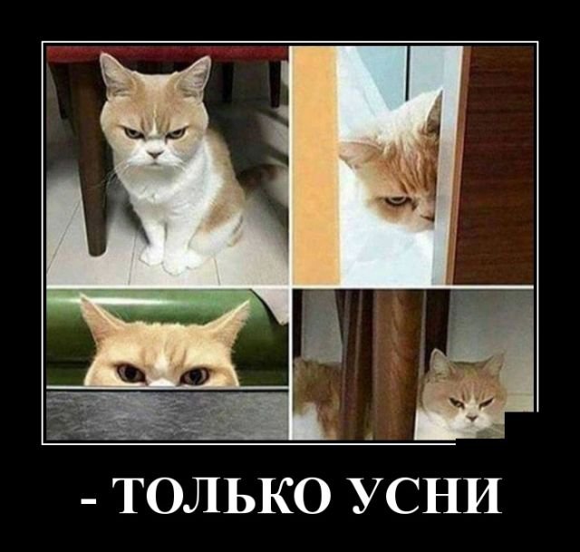 proxy.php?image=http%3A%2F%2Fs00.yaplakal.com%2Fpics%2Fpics_original%2F7%2F6%2F5%2F11110567.jpg&hash=0bd9197b521c482f5deacf403042f988 | Рено Каптур клуб Россия | www.KAPTUR.club