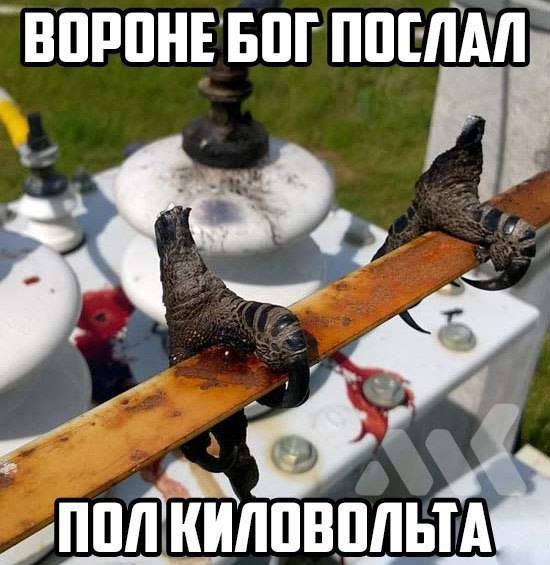 proxy.php?image=http%3A%2F%2Fs00.yaplakal.com%2Fpics%2Fpics_original%2F8%2F3%2F6%2F12364638.jpg&hash=0f8e10812e9870d0135e3ff67a4a1836 | Рено Каптур клуб Россия | www.KAPTUR.club