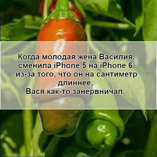 proxy.php?image=http%3A%2F%2Fs00.yaplakal.com%2Fpics%2Fpics_original%2F4%2F6%2F2%2F11453264.jpg&hash=0faded0d59bec4661a1d0ba11fff1524 | Рено Каптур клуб Россия | www.KAPTUR.club