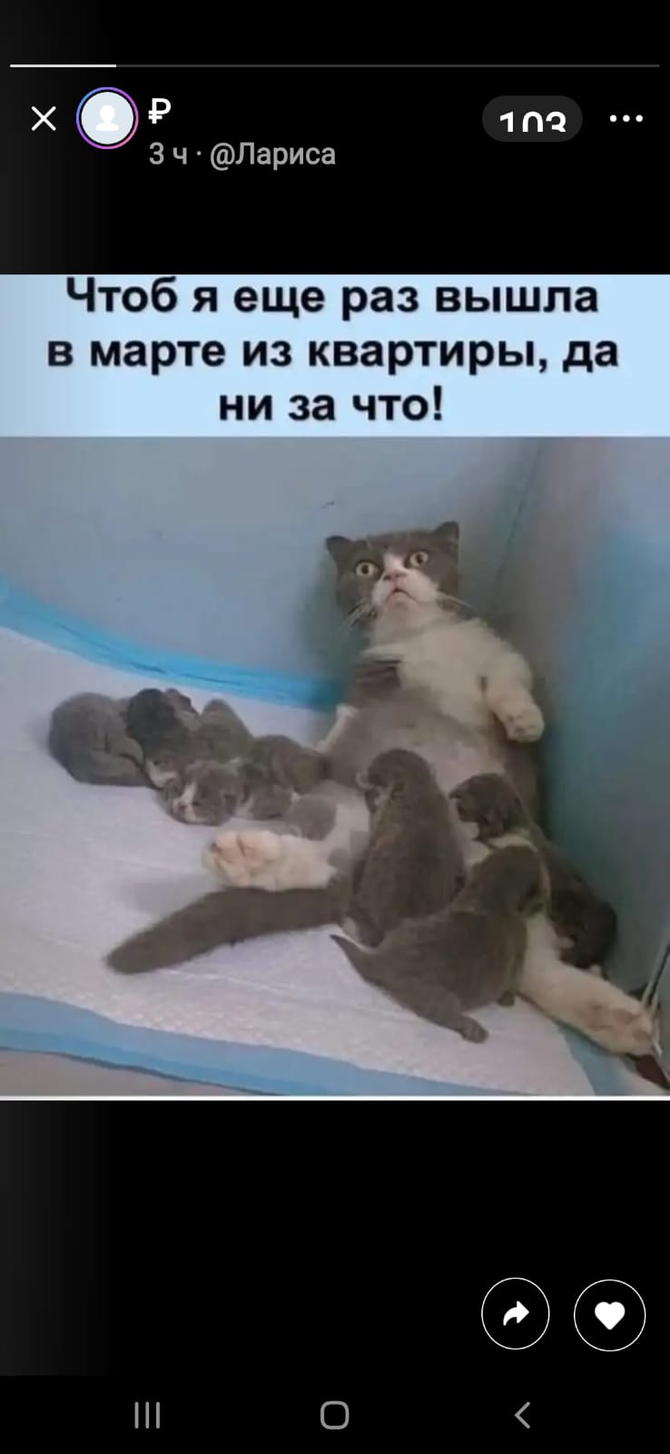proxy.php?image=https%3A%2F%2Fi.ibb.co%2FMRnV494%2FIMG-20230319-WA0010.jpg&hash=1059ded4b79e0081a704092eff00be2a | Рено Каптур клуб Россия | www.KAPTUR.club