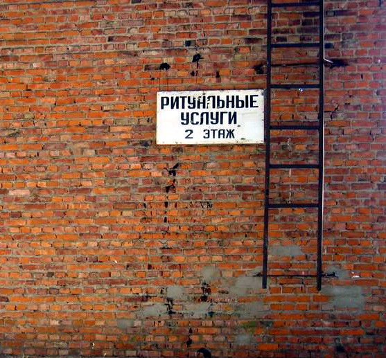 proxy.php?image=http%3A%2F%2Fdobrosos.ru%2Fwp-content%2Fuploads%2F2019%2F03%2Ffoto-prikolyi-290.jpg&hash=117b833a340b2e99fb3d9ba5e8c046b0 | Рено Каптур клуб Россия | www.KAPTUR.club