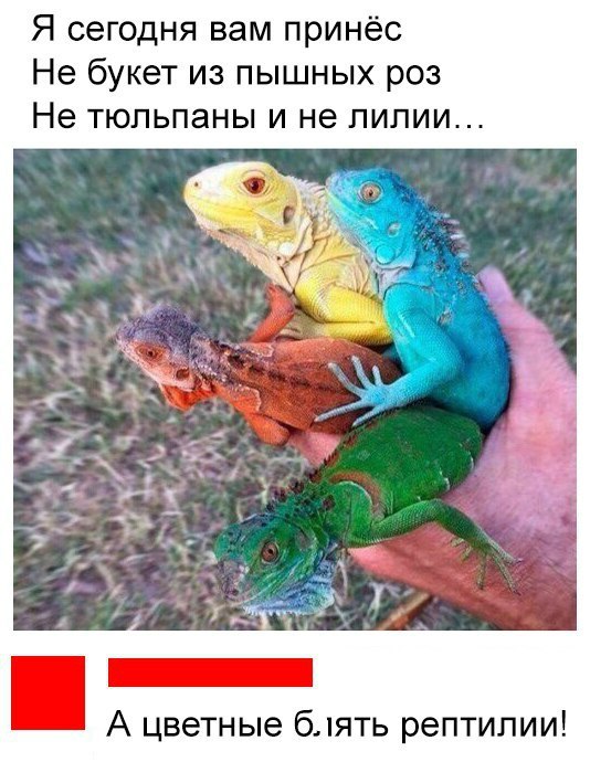 proxy.php?image=http%3A%2F%2Fs00.yaplakal.com%2Fpics%2Fpics_original%2F0%2F0%2F1%2F11524100.jpg&hash=12526fb7057aab4eef9c8b495c13c869 | Рено Каптур клуб Россия | www.KAPTUR.club