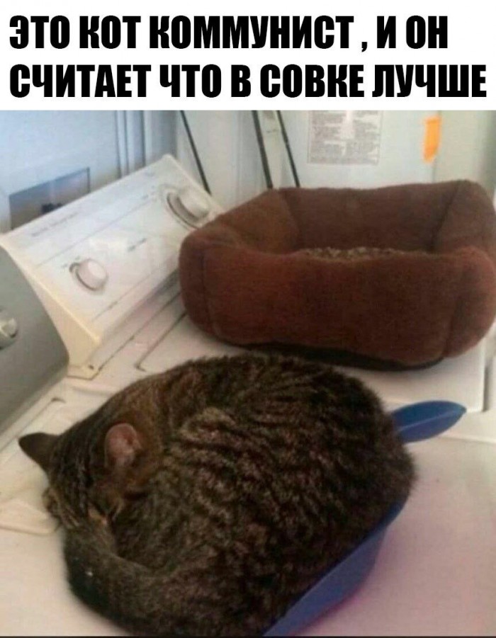 proxy.php?image=http%3A%2F%2Fs00.yaplakal.com%2Fpics%2Fpics_preview%2F5%2F8%2F8%2F13371885.jpg&hash=13de455655413b1f1c06c7ed75895547 | Рено Каптур клуб Россия | www.KAPTUR.club