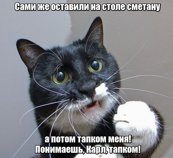proxy.php?image=http%3A%2F%2Fs00.yaplakal.com%2Fpics%2Fpics_original%2F8%2F9%2F4%2F11152498.jpg&hash=13e3636884278d47e6dd64caf11104ed | Рено Каптур клуб Россия | www.KAPTUR.club