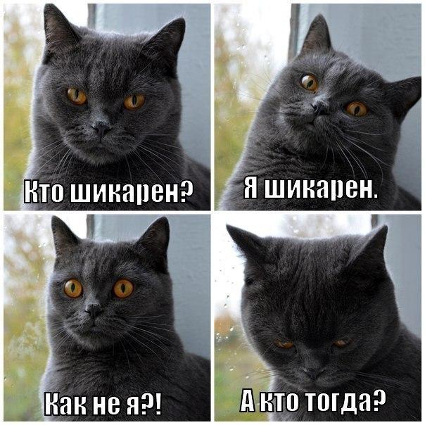 proxy.php?image=https%3A%2F%2Fxn--b1agaykvq.xn--p1ai%2Fphotopricoly%2F1%2Fs8146_1430216815.jpg&hash=13ec53a85be305bc0095deabb8bf7b20 | Рено Каптур клуб Россия | www.KAPTUR.club
