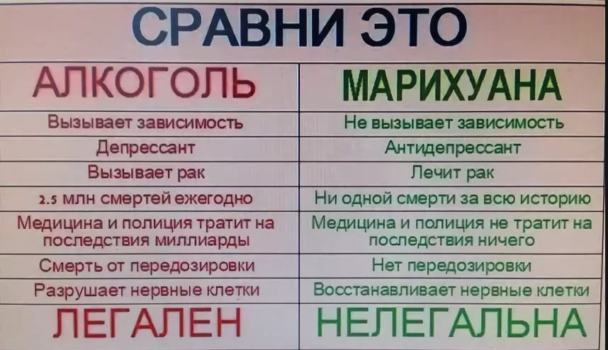 proxy.php?image=https%3A%2F%2Fi-a.d-cd.net%2F66528b5s-1920.jpg&hash=14349d7d395ebac9ddae4df085658a12 | Рено Каптур клуб Россия | www.KAPTUR.club
