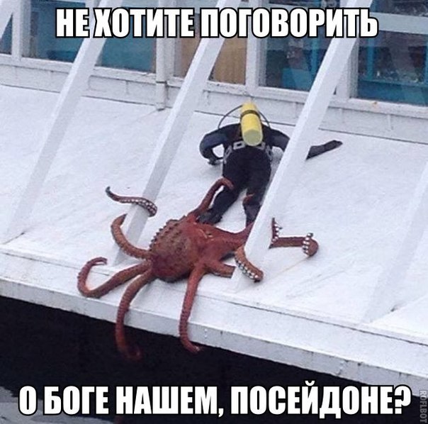 proxy.php?image=https%3A%2F%2Fpp.userapi.com%2Fc635103%2Fv635103328%2F2e8f2%2FPfC_zaKtFhQ.jpg&hash=147dcb7e8e4d5fd9a243dc9d00d5df9e | Рено Каптур клуб Россия | www.KAPTUR.club