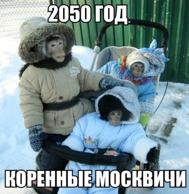 proxy.php?image=http%3A%2F%2Fs00.yaplakal.com%2Fpics%2Fpics_preview%2F9%2F7%2F4%2F12365479.jpg&hash=150a11d3dea97759bc7826d307163e05 | Рено Каптур клуб Россия | www.KAPTUR.club